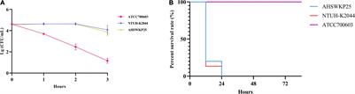 Emergence of a Hypervirulent Tigecycline-Resistant Klebsiella pneumoniae Strain Co-producing blaNDM–1 and blaKPC–2 With an Uncommon Sequence Type ST464 in Southwestern China